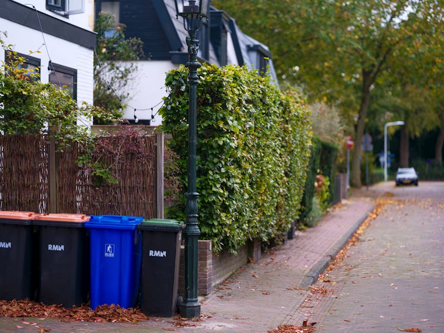 A row of three waste bins positioned on the sidewalk near a garden fence in a residential area, with one blue bin and two black bins, all with closed lids. The bins are made of plastic, with smooth surfaces and slightly textured finishes. They are placed close together on a paved pathway that runs alongside a low brick wall. Behind the bins, there is a tall, dense hedge with green leaves, partially obscuring a white building with dark-framed windows and decorative black window shutters. A black ornate street lamp post stands in front of the hedge, casting a soft shadow. The background includes a tree with green foliage, which is beginning to show autumnal colour changes, and a distant street with a parked car, street signs, and additional street lamps. Fallen leaves are scattered across the pavement, indicating the season. The scene reflects typical urban street scene with private waste collection options, aligning with services such as those offered by Rubbish Clearance Haringey.