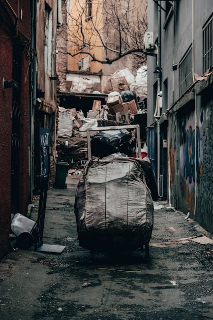 A narrow urban alleyway filled with a large collection of discarded rubbish and debris, with a prominent wheeled trolley or sack in the foreground containing various waste materials. Behind it, there are piles of cardboard boxes, plastic bags, and miscellaneous refuse stacked against a weathered wall and a pile of white waste bags or bedding. The alley is flanked by brick and metal-clad buildings, some with graffiti and peeling paint, and the ground is uneven with patches of dirt and scattered debris. Overhead, leafless tree branches extend across the scene, indicating an outdoor setting possibly in late autumn or winter. The environment appears neglected, suggesting it may be subject to independent or private waste collection, with Rubbish Clearance Haringey offering rubbish removal services that could include clearing such sites. Natural lighting highlights the dull, worn textures of the waste and surrounding surfaces, emphasizing the volume of rubbish accumulated in this confined space, typical of areas requiring professional rubbish clearance to ensure cleanliness and environmental safety.